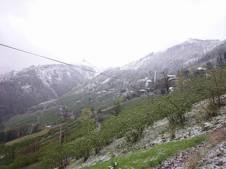 5443_582047418614399_4944374011497591489_n