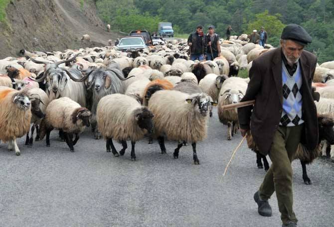 10300665_547417412034428_7186107293120260883_n