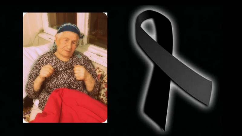 110 Yıllık Koca Çınar Devrildi