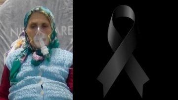 Bir Çınar Daha Devrildi