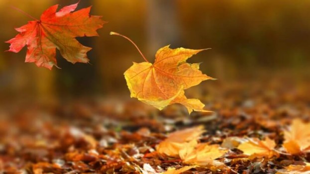 Gurbetcimiz Vefat Etti